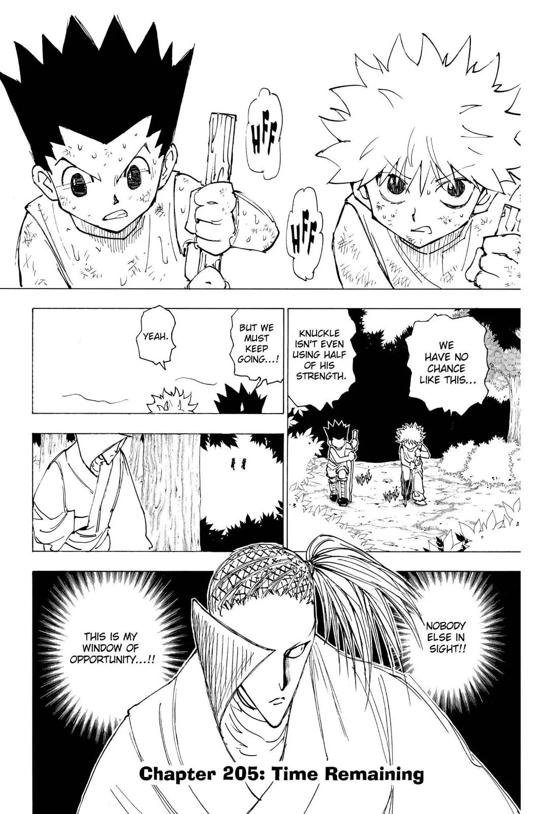 hunter x hunter 205
