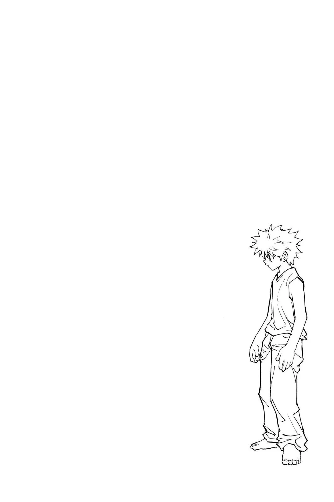 hunter x hunter Chapter 205 manga panel