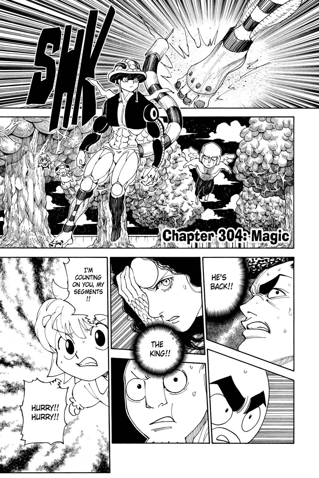 Hunter × Hunter Chapter 304 - In English